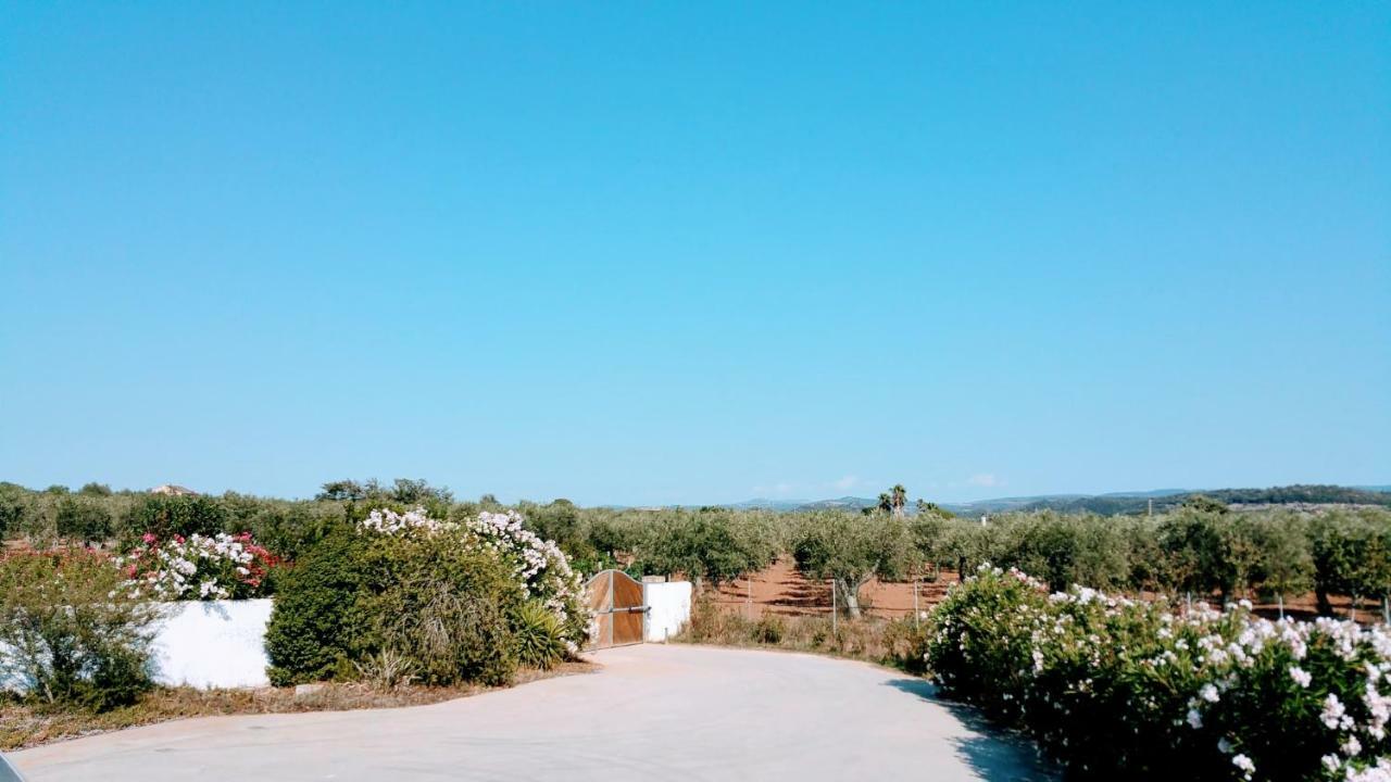 Villa Rafael Con Piscina, Iun P4098 Αλγκέρο Εξωτερικό φωτογραφία